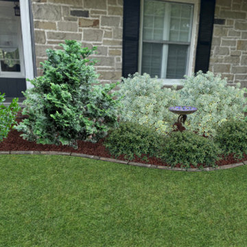 Foundation Plantings