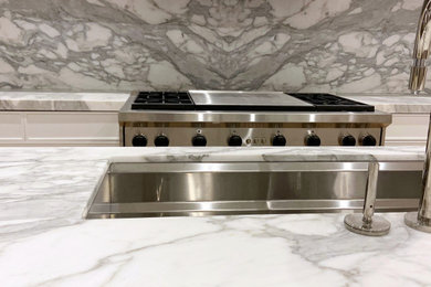 Inspiration for a kitchen remodel in Chicago