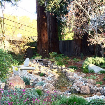 Water Features