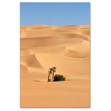 "Desert Scene." by Robert Harding Picture Library, Canvas Art, 22"x32"