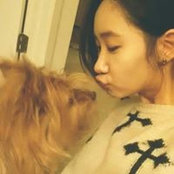 Jin Lee's photo