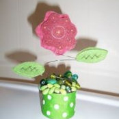 Kelli Kramer's photo
