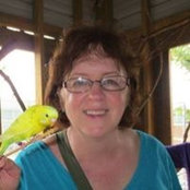 Suzanne Reischmann's photo