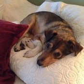 Cindy Booth's photo