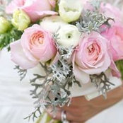 Saja Aburas's photo