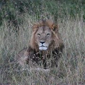 Foto von Jo Pitt