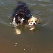 Gerald Cudmore's photo