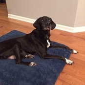 Maia Beltran's photo