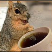 Nicole Renaud's photo
