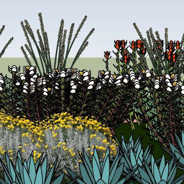 HOT COLORS GARDEN