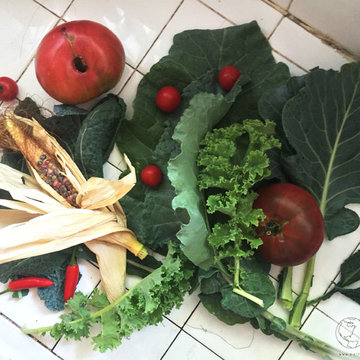 Edible Landscapes