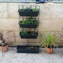 backyard ideas