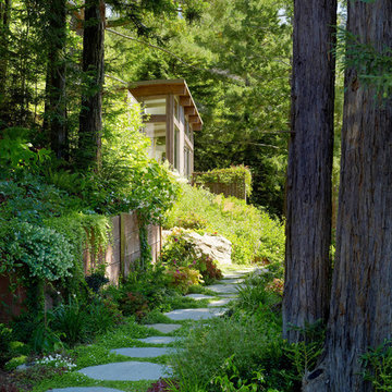 Mill Valley, Cabin Studio's