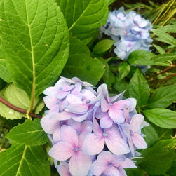 Gardening & Landscaping - Products