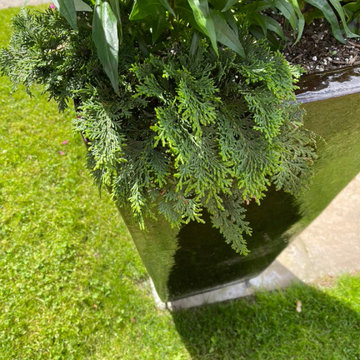 LANDSCAPE - Container Gardens