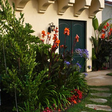 Landscape Ideas