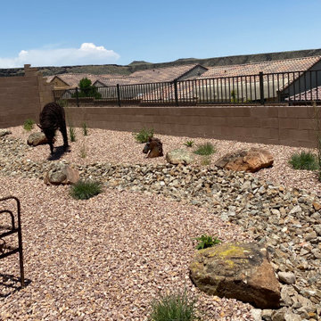 Western Desert Landscape