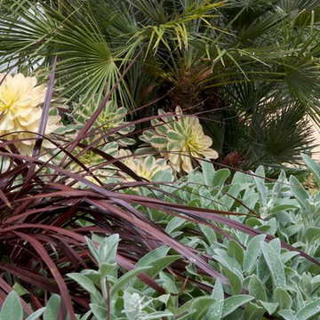 Garden Landscape and Hardscape Design