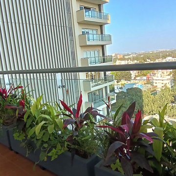 Asha and Nares's Home Gardens