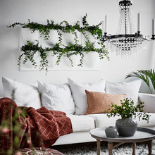 10 Beauty-Filled Ways to Accessorise Rooms With Plants