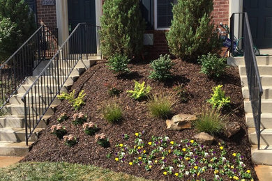 Design ideas for a traditional landscaping in DC Metro.