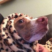 Alex Lee's photo