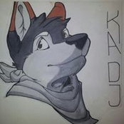 Foto de Kadj Darkfold
