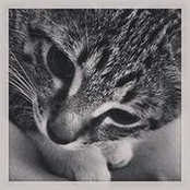Shawn Renee's photo
