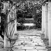 Fran Kime's photo