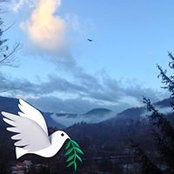 Donald Dodd's photo