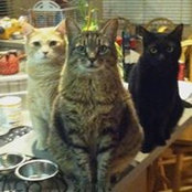 Sheila Waid's photo