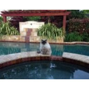 Wendy Flapan's photo