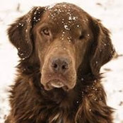 Jodi Eberhart's photo
