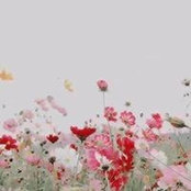 Danielle Maciel's photo