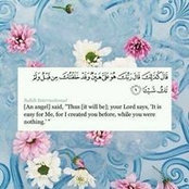 Selwan Mohamed's photo