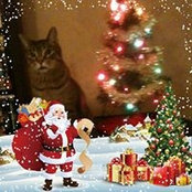 Therese Ferriter's photo