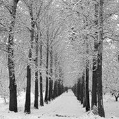 Ginger Branch's photo