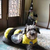 Sara Trufant's photo