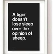 Aaron Burke's photo