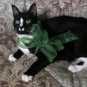 Holly Hudson-Hill's photo