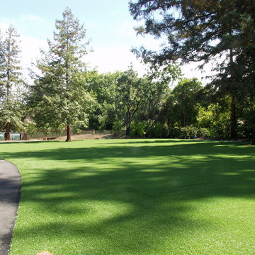 Custom Putting Greens