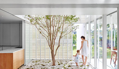 Holding Court: What You Need to Know About Internal Courtyards