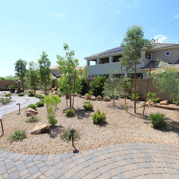 Back Yard Landscape and Pavers