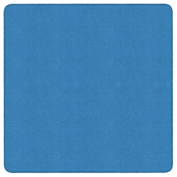 Flagship Carpets BS-26BB Ameristrong Blue