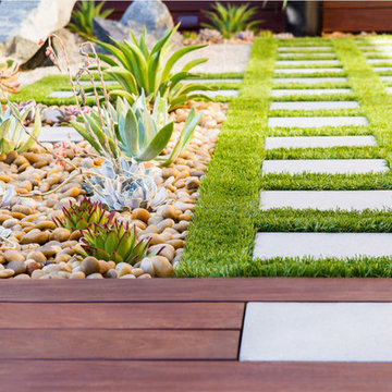 Modern Zen Garden