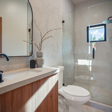Valley Glen Whole-Home Remodel with Resort Pool & Pool House