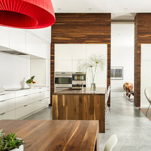 Modern Wood Paneling