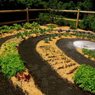 Zen Vegetable Garden… to die for!