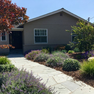 Los Altos No Lawn, Low Water