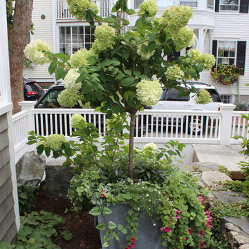Window Boxes / Containers